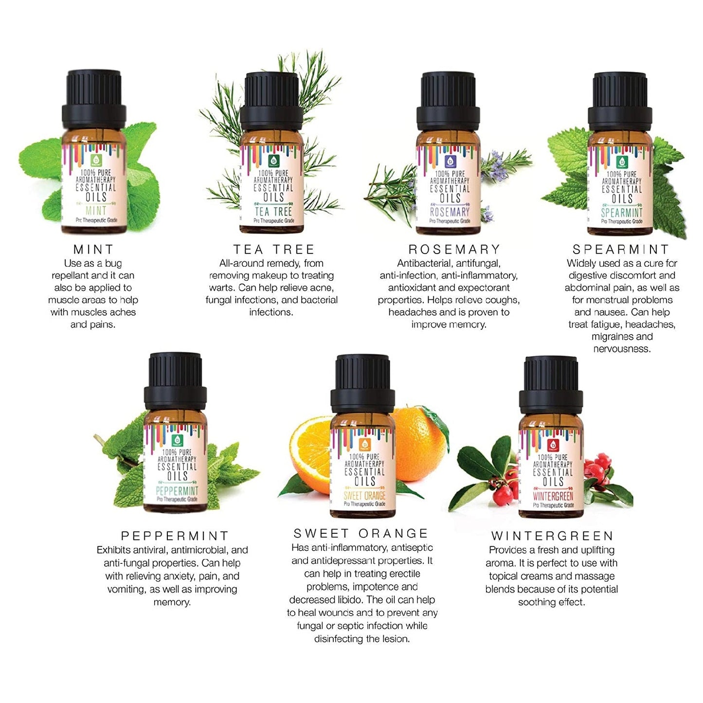 14 Pack of 100% Pure Essential Aromatherapy Oils - Couch Potato