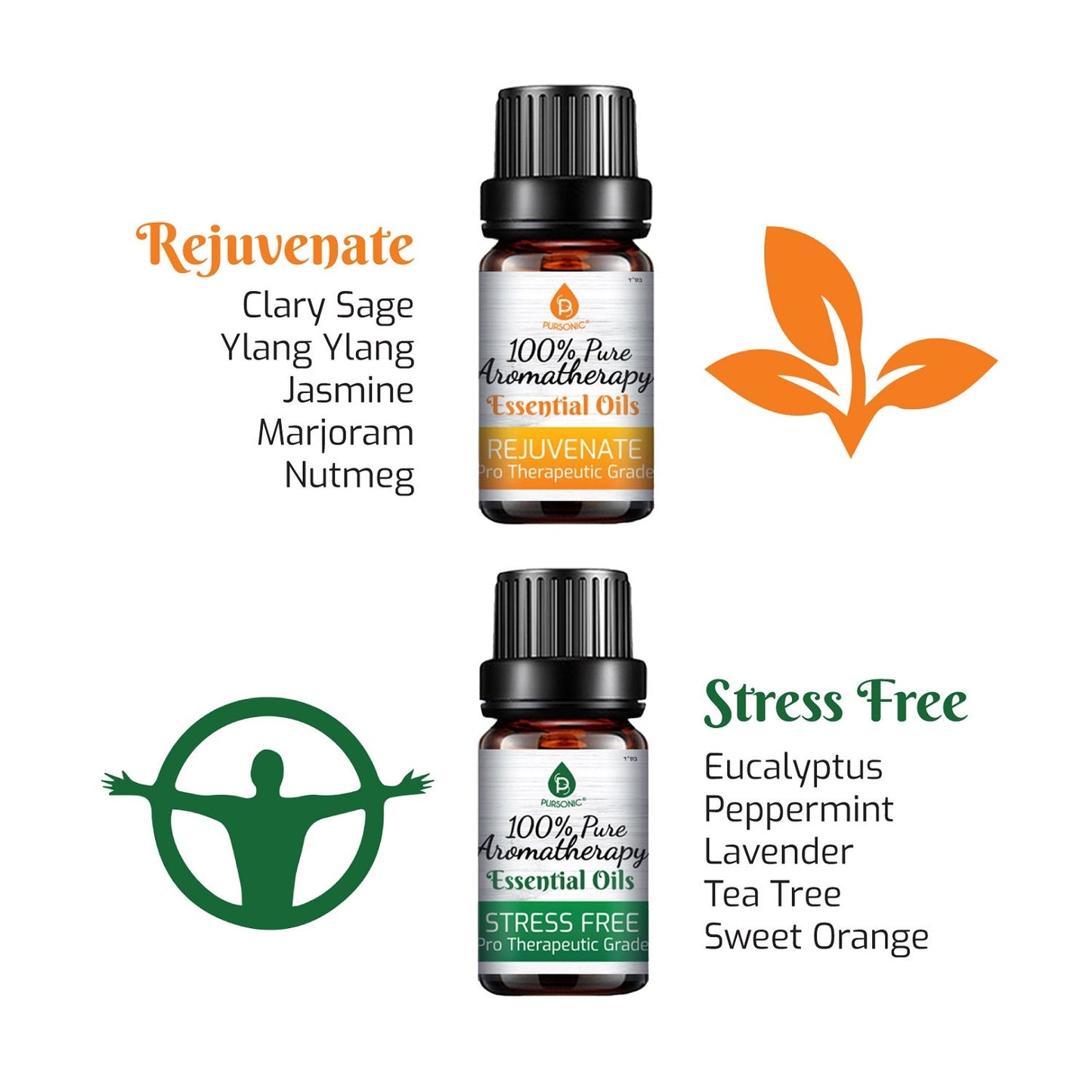 6 Pack of 100% Pure Essential Aromatherapy Oils Blends - Couch Potato