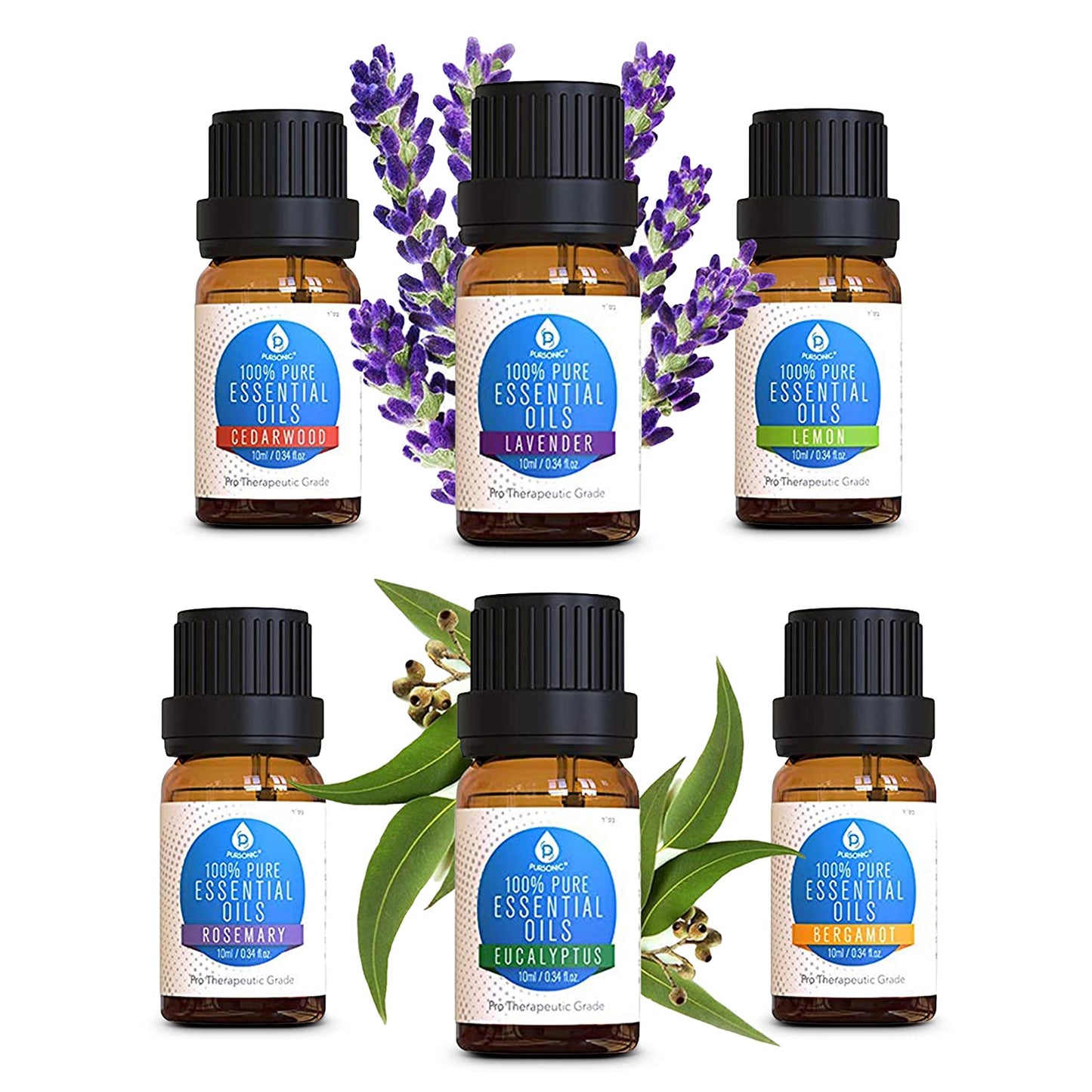 6 Pack of 100% Pure Essential Aromatherapy Oils - Couch Potato