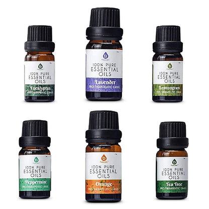 6 Pack of 100% Pure Essential Aromatherapy Oils - Couch Potato