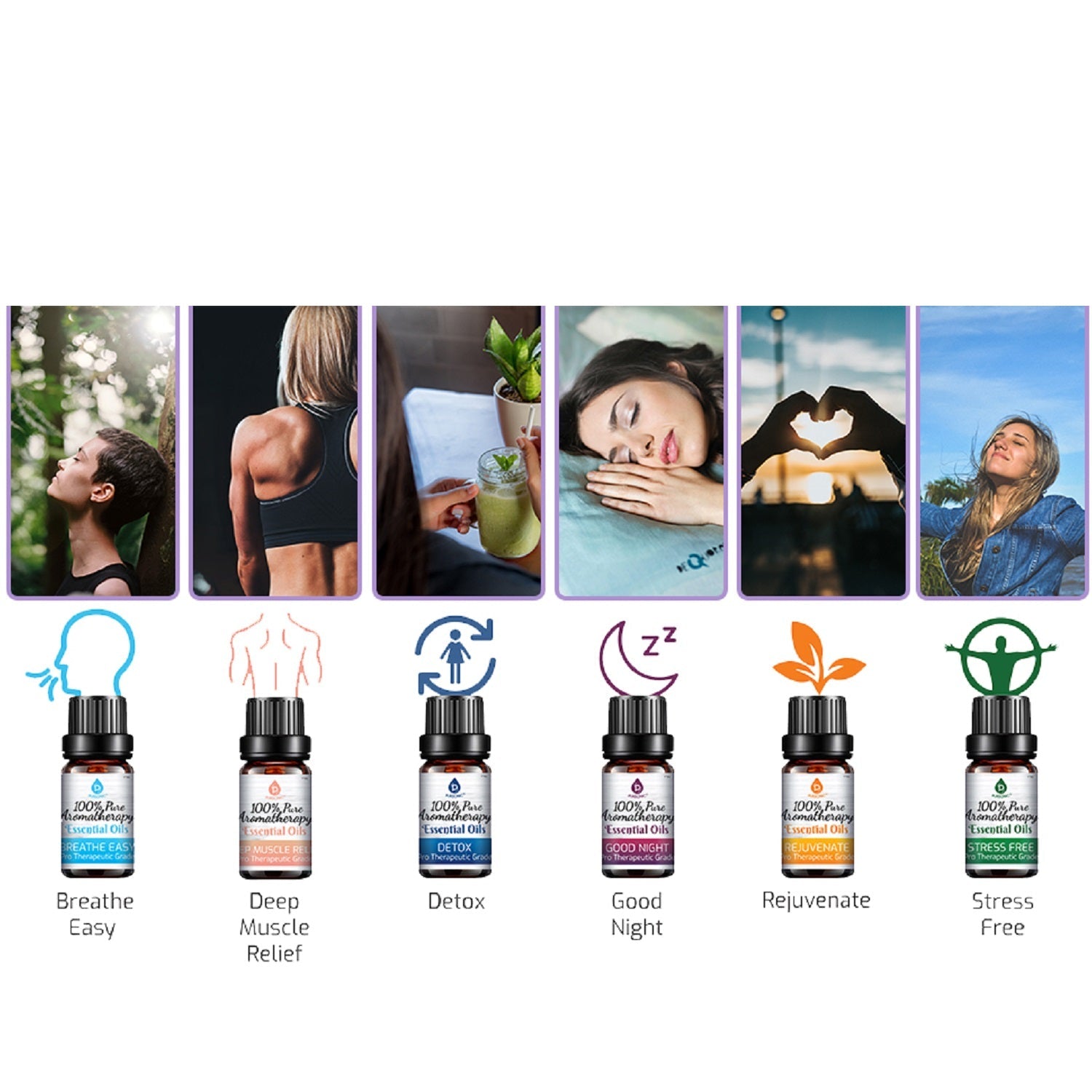 6 Pack of 100% Pure Essential Aromatherapy Oils Blends - Couch Potato