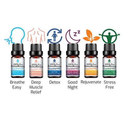 6 Pack of 100% Pure Essential Aromatherapy Oils Blends - Couch Potato