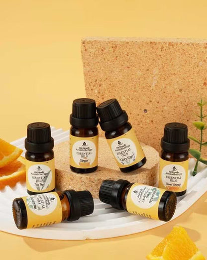 Pet - Friendly Aromatherapy Essential Oils Collection - Cedarwood, Chamomile, Frankincense, Ginger, Lavender, and Rosemary - Couch Potato