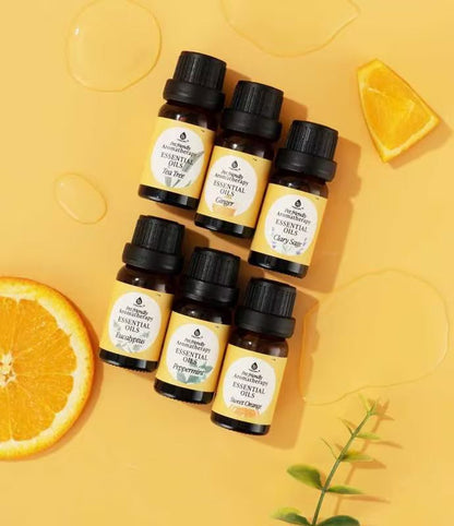 Pet - Friendly Aromatherapy Essential Oils Collection - Cedarwood, Chamomile, Frankincense, Ginger, Lavender, and Rosemary - Couch Potato