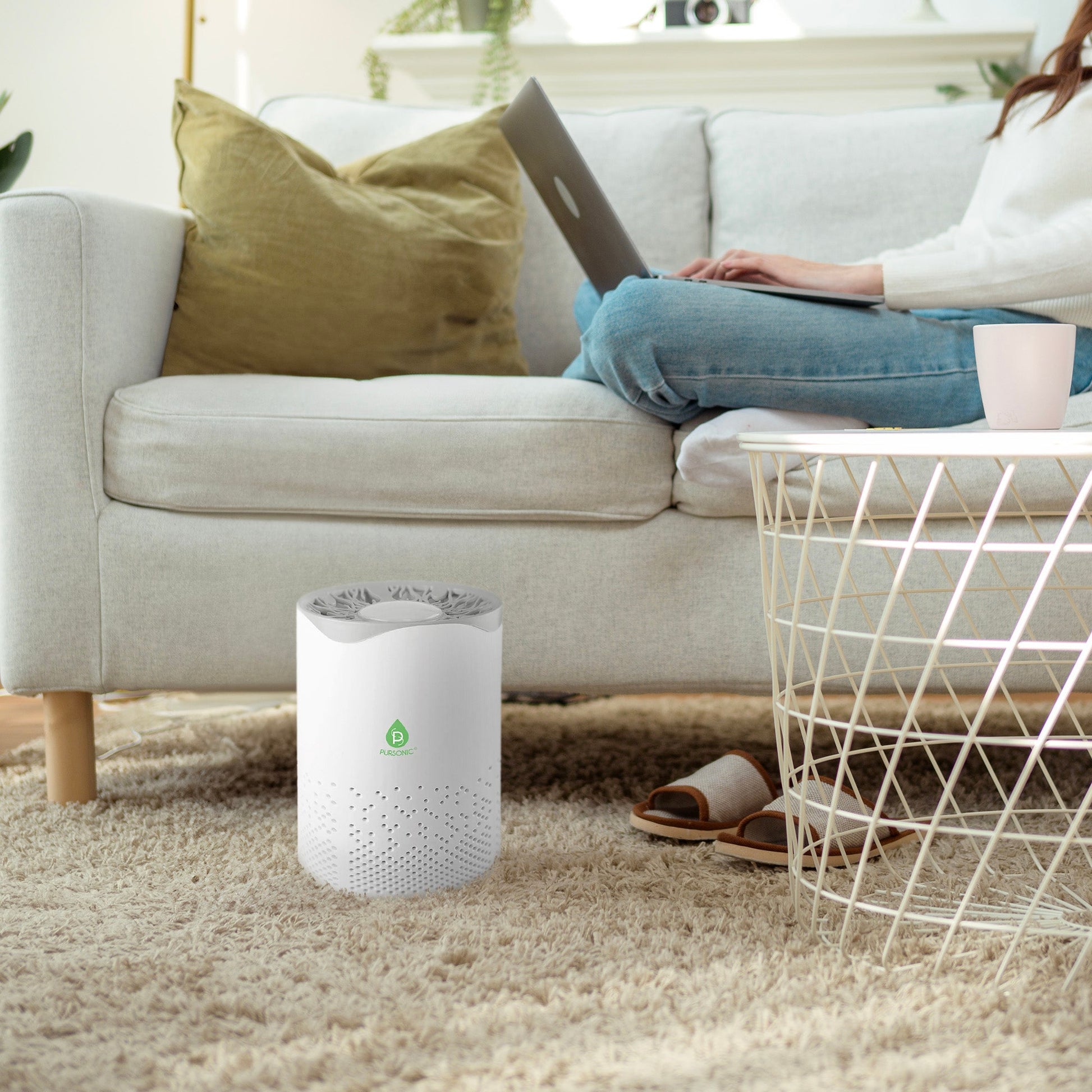 USB Powered True HEPA Air Purifier - Couch Potato
