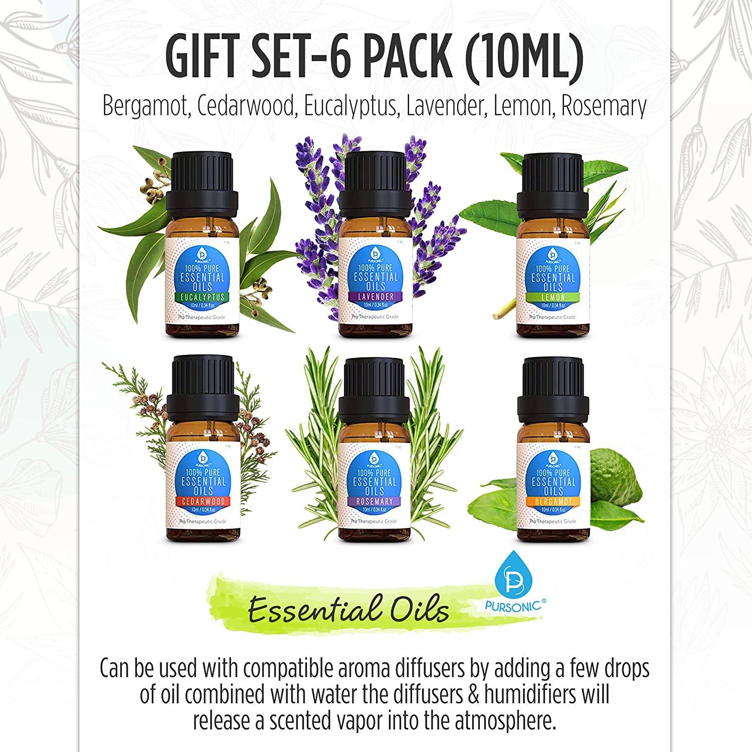 6 Pack of 100% Pure Essential Aromatherapy Oils - Couch Potato