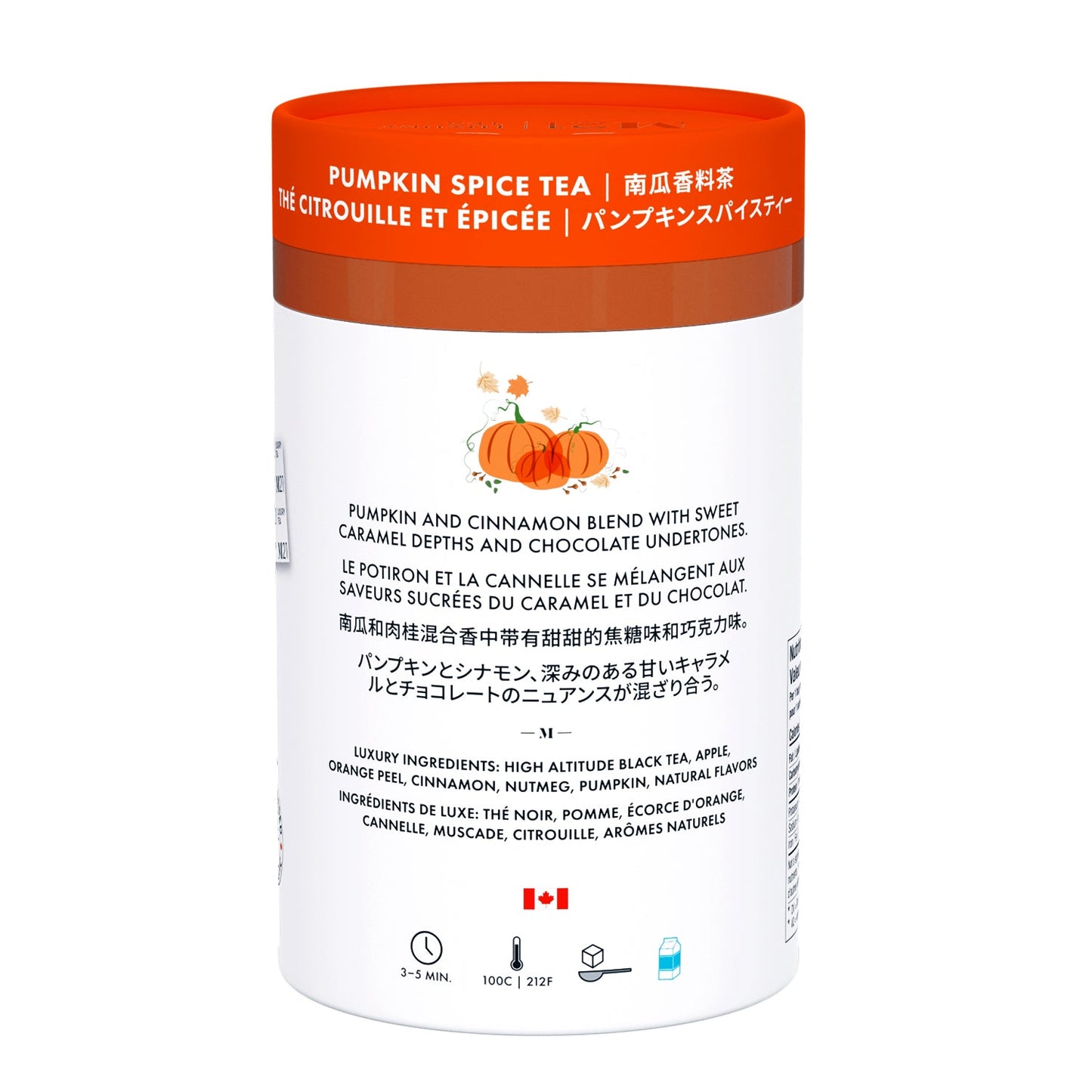 Luxury Pumpkin Spice Tea – 24ct - Couch Potato