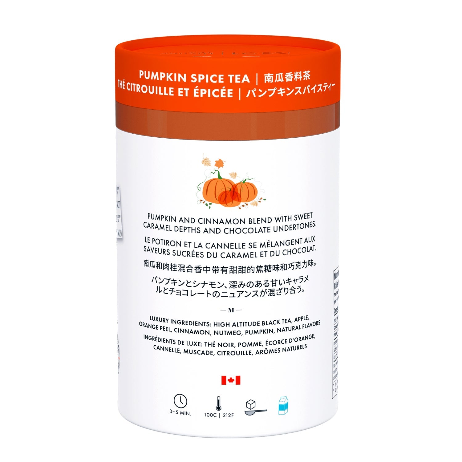 Luxury Pumpkin Spice Tea – 24ct - Couch Potato