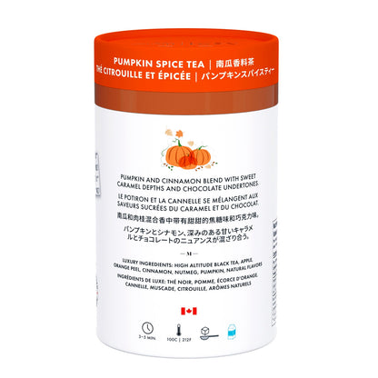 Luxury Pumpkin Spice Tea – 24ct - Couch Potato