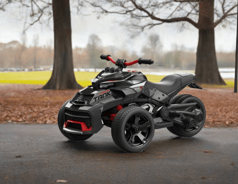 2026 24V 3 Wheel SPIDER 2 Seater Ride On Motorcycle Age 3 to 7 - Couch Potato
