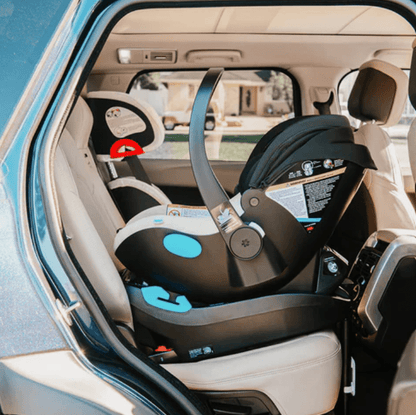 LIING Infant Car Seat - Couch Potato