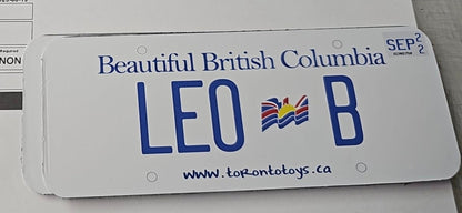 Personalized Custom License Plate for Kids Car - Couch Potato