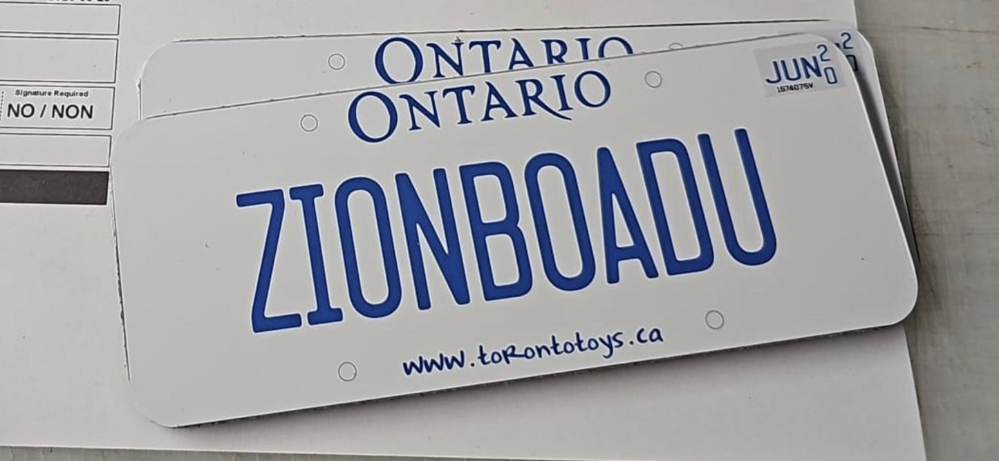 Personalized Custom License Plate for Kids Car - Couch Potato