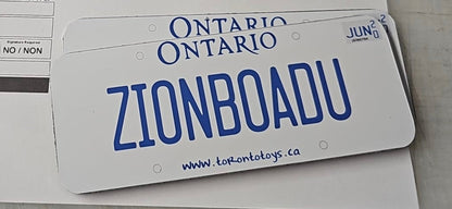 Personalized Custom License Plate for Kids Car - Couch Potato